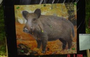 Concours Jeunes Tir Nature