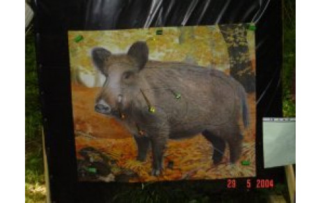 Concours Jeunes Tir Nature